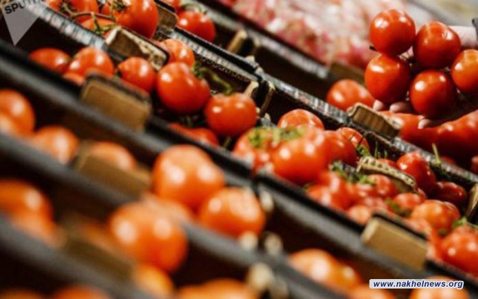 الزراعة تتهم كردستان بفتح منافذها لدخول الطماطم المستوردة رغم قرار المنع