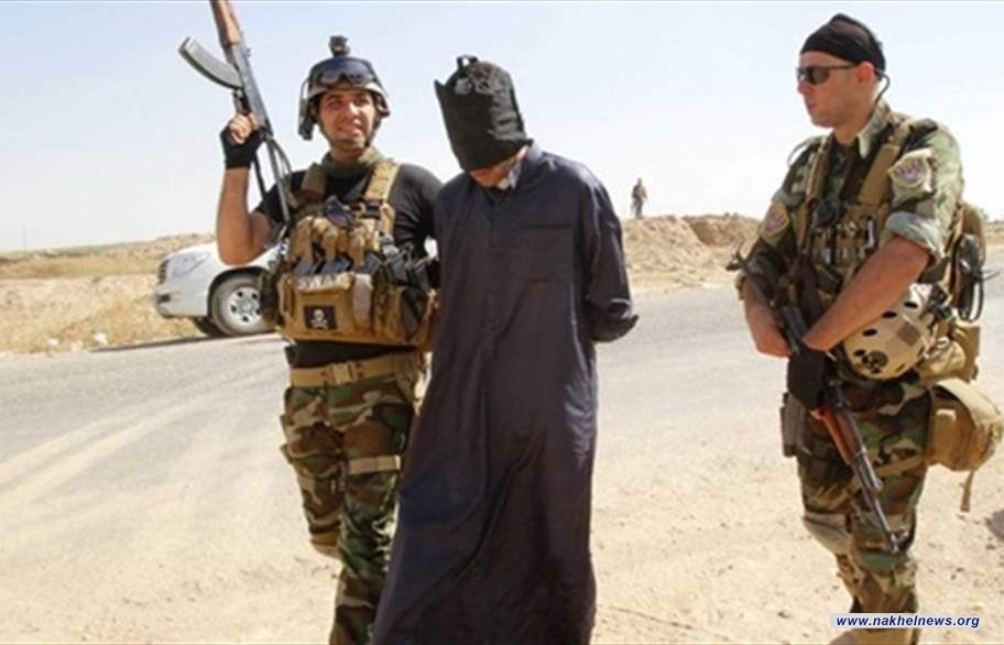القبض على عنصر أمني لداعش في الرمادي