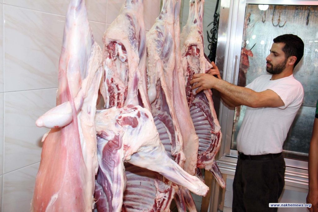 الزراعة تطلق حزمة من القرارات لتخفيض أسعار اللحوم 