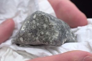 شظايا الكويكب الذي ضرب برلين تكشف أنه صخرة فضائية "نادرة للغاية"