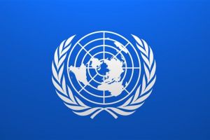  الأمم المتحدة تدين عمليات إعدام 81 شخصاً التي نفذتها السعودية